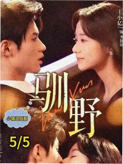 海边的旧钟表 治愈系电视剧全集免费看